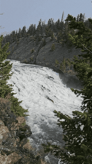 Wide waterfall rushing through a pine-lined canyon