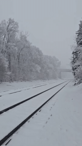 Railroad tracks covered in snow, lined with frosted trees